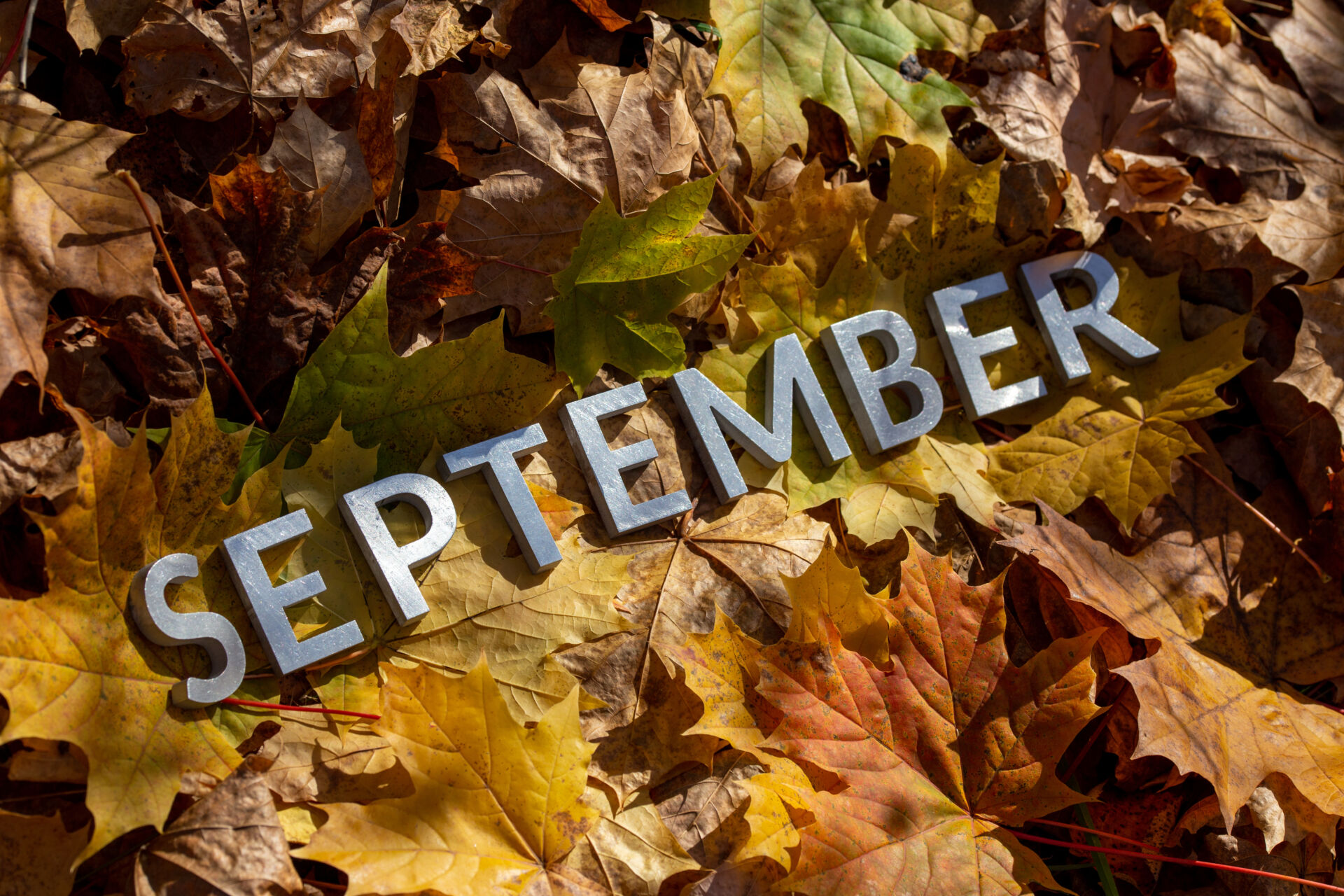 Sober September for a Healthier You